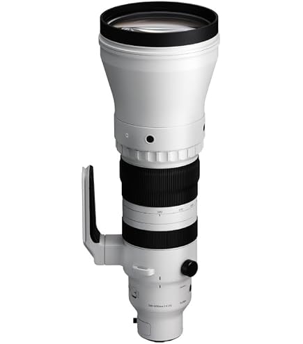 Amazon.com: Sigma 150-600mm F5/-6.3 DG DN for L Mount : Sports